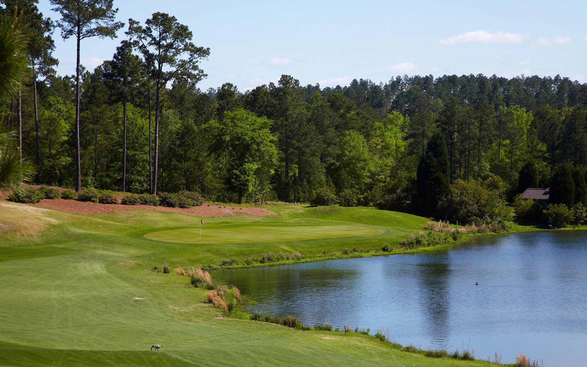 Woodside Country Club - Golf Course Hole #5